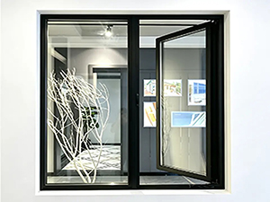 图片展示